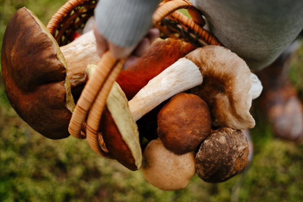 Ruzova Chalupa Pod Klinovcem Loučná pod Klínovcem Exterior foto